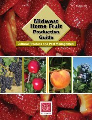 Midwest Home Fruit Production Guide - Ohio Agricultural Research ...
