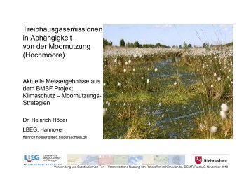 Naturnahes Hochmoor - Deutsche Gesellschaft für Moor