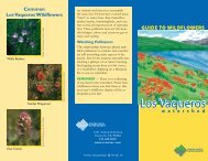 Guide to Los Vaqueros: Wildflowers