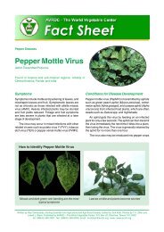 Pepper mottle virus Aphid-transmitted potyvirus