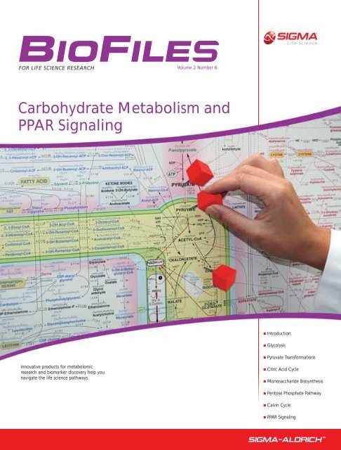 Iubmb Sigma Nicholson Metabolic Pathways Chart