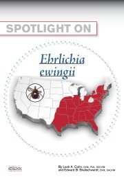 Spotlight on Ehrlichia Ewingii - IDEXX Laboratories