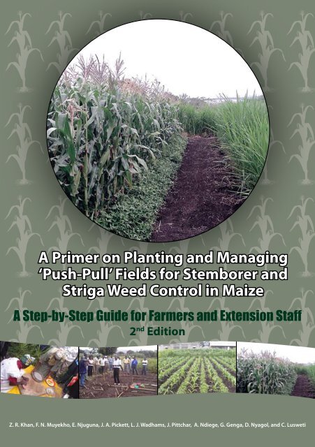 A Primer on Planting and Managing 'PushâPull' Fields for Stemborer ...