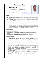 Curriculum Vitae Walid ELFALLEH