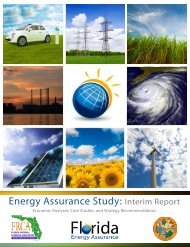 Energy Assurance Study: Interim Report - Southwest Florida ...