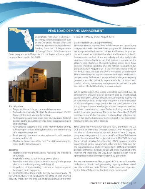 Energy Assurance Study: Interim Report - Southwest Florida ...