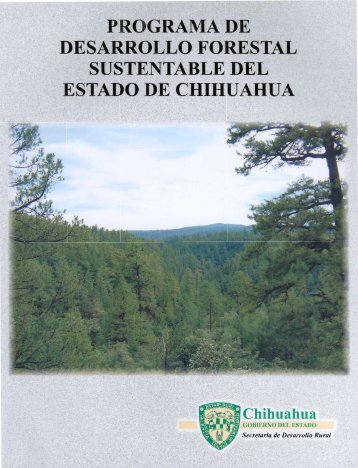 produccion de la industria forestal