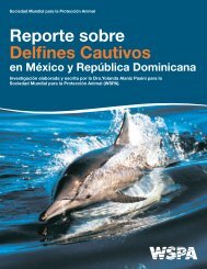 Reporte de Delfines, CAMBIOS2.indd