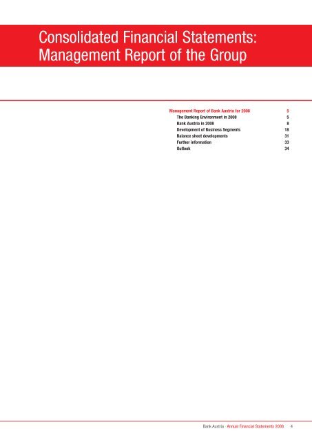 Annual Financial Statements 2008 of Bank Austria