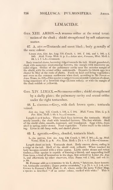 History of British animals - University of Guam Marine Laboratory