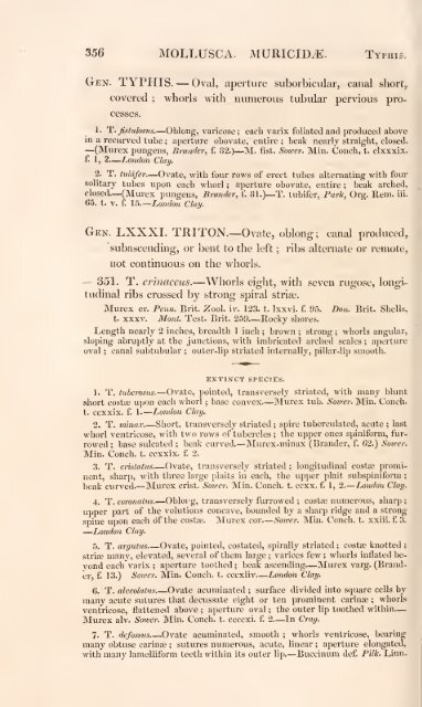 History of British animals - University of Guam Marine Laboratory