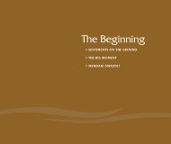 The Beginning - Association of Muslim Professionals