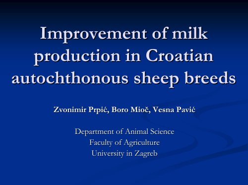 Improvement of milk production in Croatian autochthonous ... - dagene