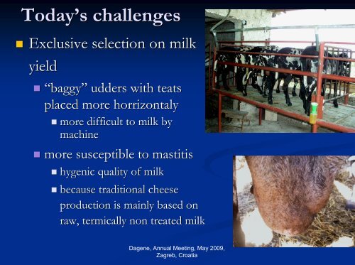 Improvement of milk production in Croatian autochthonous ... - dagene