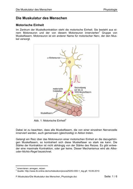 Die Muskulatur des Menschen