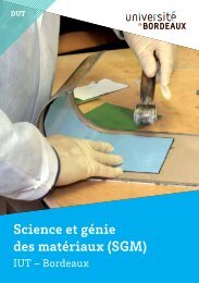 DUT Science et Génie des Matériaux - IUT Bordeaux 1...