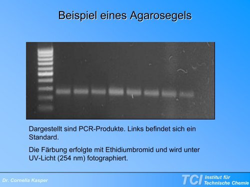 Kein Folientitel - TCI @ Uni-Hannover.de