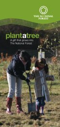 Plant a tree, a gift that grows into The National Forest