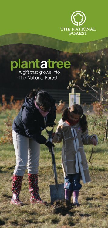 Plant a tree, a gift that grows into The National Forest