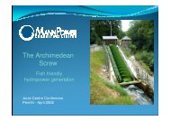 The Archimedean Screw