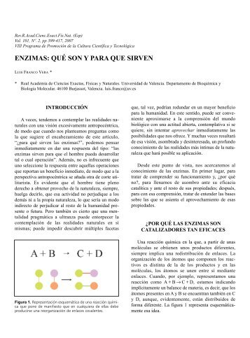 enzimas: quÃƒÂ© son y para que sirven - Real Academia de Ciencias ...