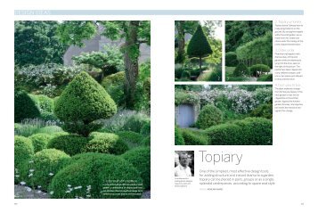 Topiary - Arne Maynard Garden Design