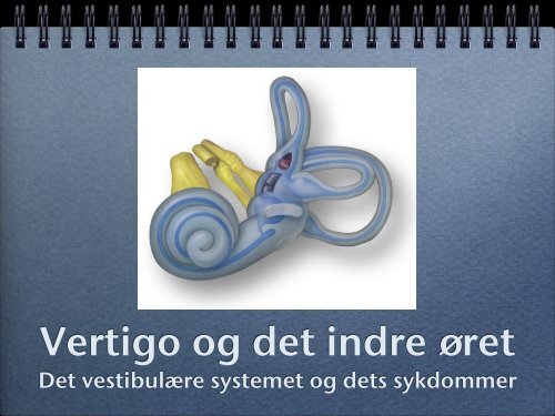 VestibulÃ¦re sykdommer.pdf