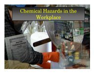 Chemical Hazards in the Workplace