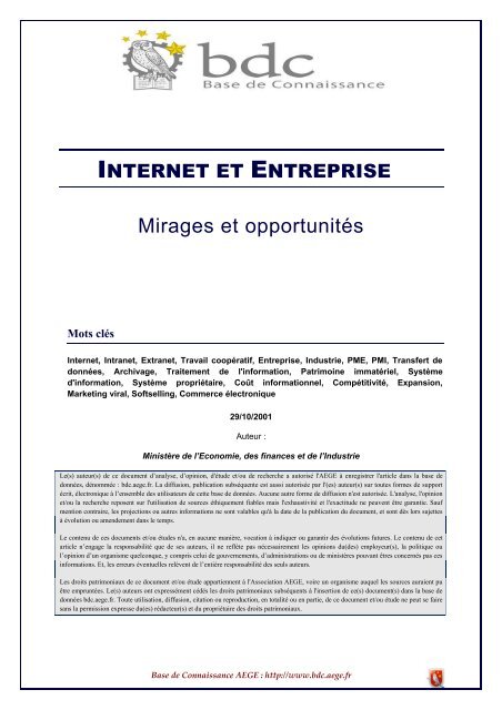 Internet Et Entreprise Mirages Et Opportunitãs Base De