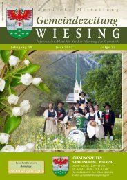 Datei herunterladen (2,79 MB) - .PDF - Wiesing - Land Tirol