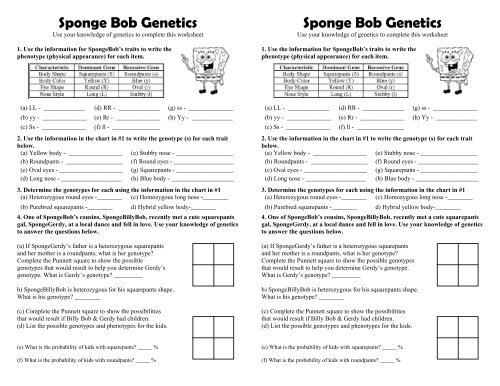 Sponge Bob Genetics