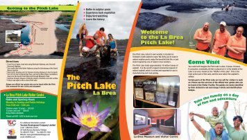 the La Brea Pitch Lake! - Trinidad and Tobago
