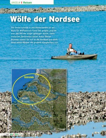 Wölfe der Nordsee - Wolfsbarsch.com
