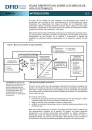 Marco de los medios de vida sostenibles