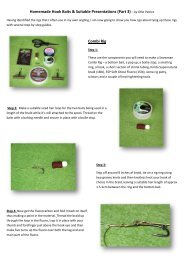 Homemade Hook Baits & Suitable Presentations (Part 3 ... - CC Moore