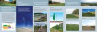 Wind Erosion Activities for Prevention of Wind Erosion Wind ...
