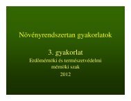 3. - NYME ErdÅmÃ©rnÃ¶ki Kar