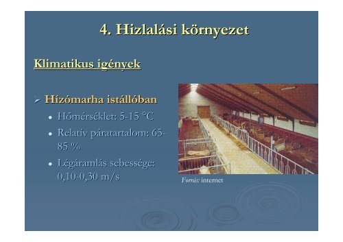 Szarvasmarha-hizlalÃ¡s - SZIE MKK - Szent IstvÃ¡n Egyetem