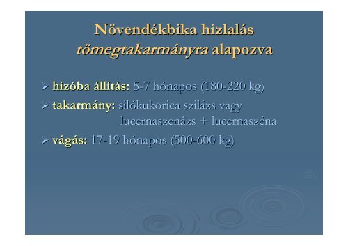 Szarvasmarha-hizlalÃ¡s - SZIE MKK - Szent IstvÃ¡n Egyetem