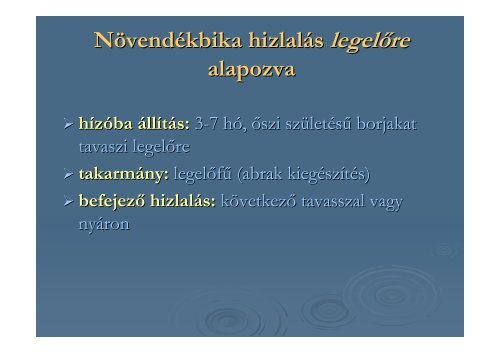 Szarvasmarha-hizlalÃ¡s - SZIE MKK - Szent IstvÃ¡n Egyetem