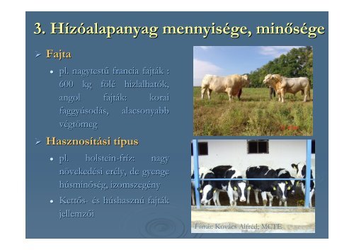 Szarvasmarha-hizlalÃ¡s - SZIE MKK - Szent IstvÃ¡n Egyetem