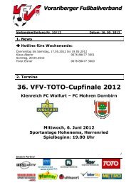 36. Vfv-Toto-Cupfinale 2012