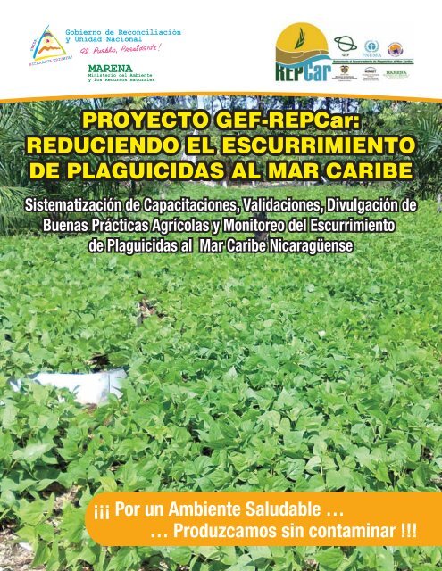 PROYECTO GEF-REPCar: REDUCIENDO EL ... - UNEP