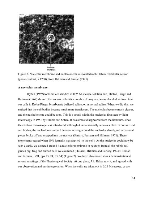 download PDF version - Dr Harold Hillman
