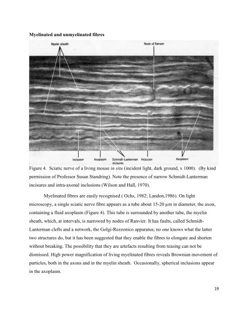 download PDF version - Dr Harold Hillman