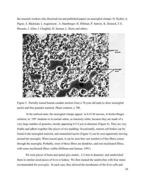 download PDF version - Dr Harold Hillman