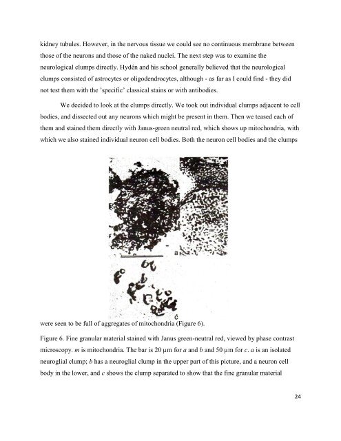 download PDF version - Dr Harold Hillman
