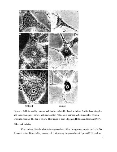 download PDF version - Dr Harold Hillman