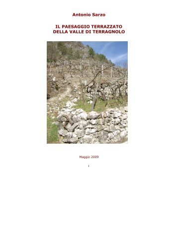 Antonio Sarzo IL PAESAGGIO TERRAZZATO DELLA VALLE DI ...