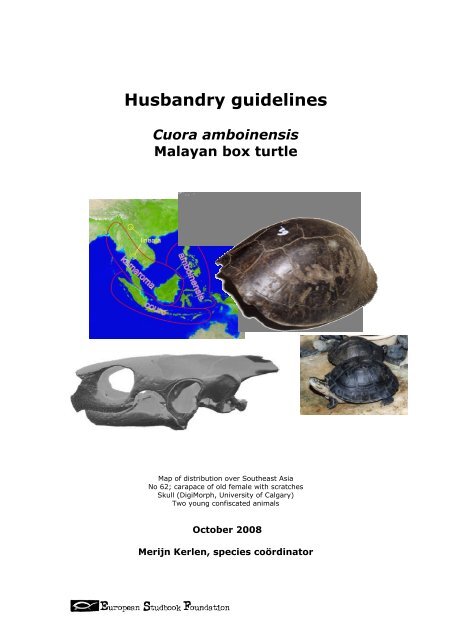 Husbandry guidelines â Cuora amboinensis